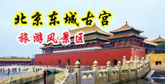 逼逼黄色网站一级片中国北京-东城古宫旅游风景区
